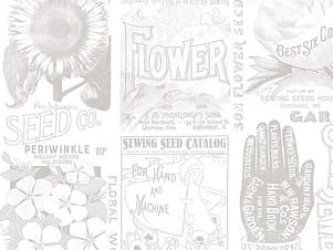 Cotton Fabric, 107/108" Wide Back Sewing Seeds III Garden in Blender Gray by Riley Blake Designs