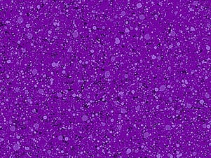 Cotton Fabric, 44" Mardi Party in Moondust Imperial by Northcott Fabrics