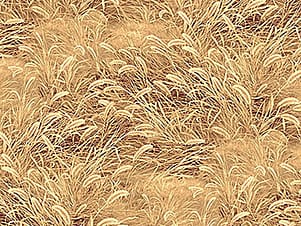 Cotton Fabric, 44" Naturescapes in Grass Tan by Northcott Fabrics