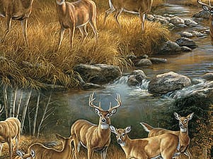 Cotton Fabric, 44" Naturescapes in Scenic Tan Multi by Northcott Fabrics
