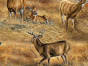 Cotton Fabric, 44" Naturescapes in Field of Deer Tan Multi by Northcott Fabrics