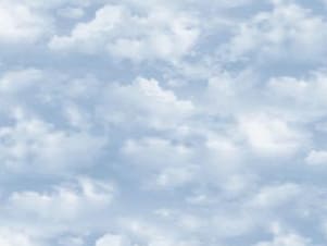 Cotton Fabric, 44" Grand Prairie Naturescapes in Clouds Blue by Northcott Fabrics