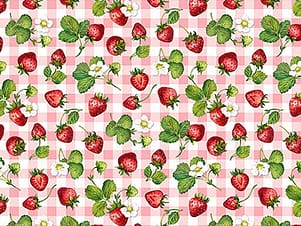 Cotton Fabric, 44" Well Preserved in Strawberry Check Pink Multi by Northcott Fabrics