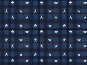 Cotton Fabric, 43"/44" Wide Valor is Never Forgotten in Plaid Blue by Riley Blake Designs