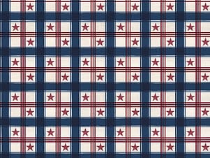 Cotton Fabric, 43"/44" Wide Valor is Never Forgotten in Plaid Multi by Riley Blake Designs