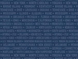 Cotton Fabric, 43"/44" Wide Valor is Never Forgotten in States Blue by Riley Blake Designs