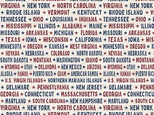 Cotton Fabric, 43"/44" Wide Valor is Never Forgotten in States Cream by Riley Blake Designs