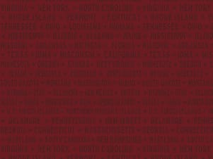 Cotton Fabric, 43"/44" Wide Valor is Never Forgotten in States Red by Riley Blake Designs