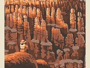 Cotton Fabric Panel, 43"/44" Wide National Parks in Bryce Canyon by Riley Blake Designs