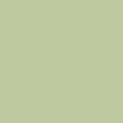 Polyester Fabric, 60″ Wide Poly Plush Pongee in F Sage by EESCO
