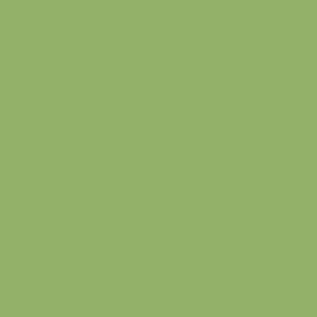 Cotton Fabric, 43"/44" Wide Kimberbell Basic Solids in Shamrock by Maywood Studio