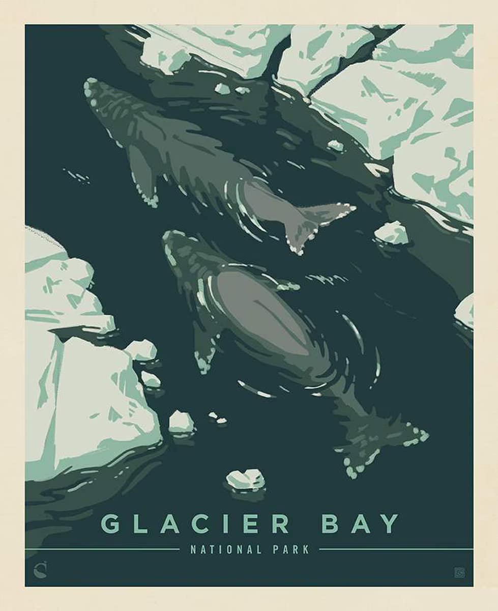 Cotton Fabric Panel, 43"/44" Wide National Parks in Glacier Bay by Riley Blake Designs